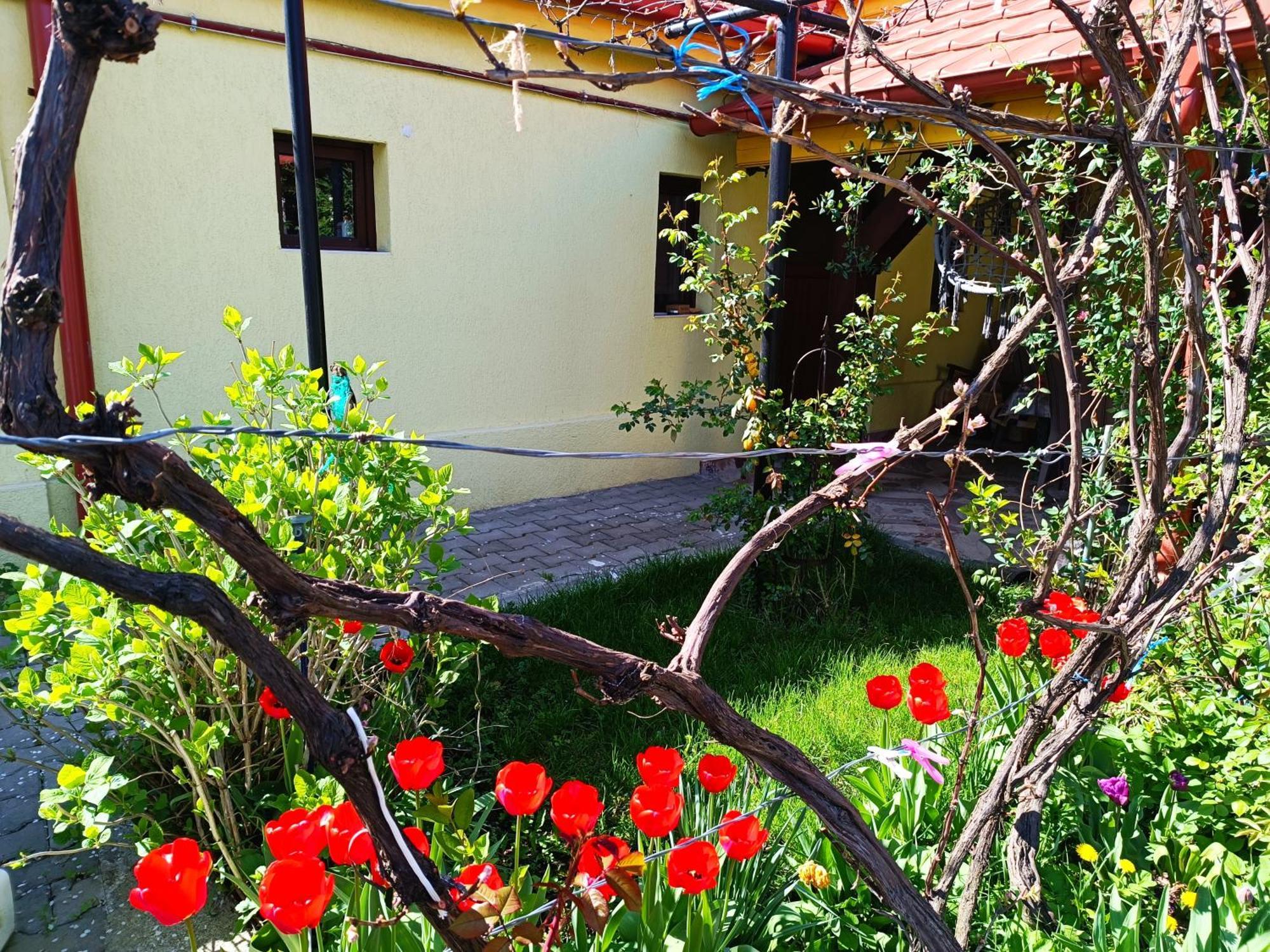 Casa Bunicilor Apartman Cisnădie Kültér fotó